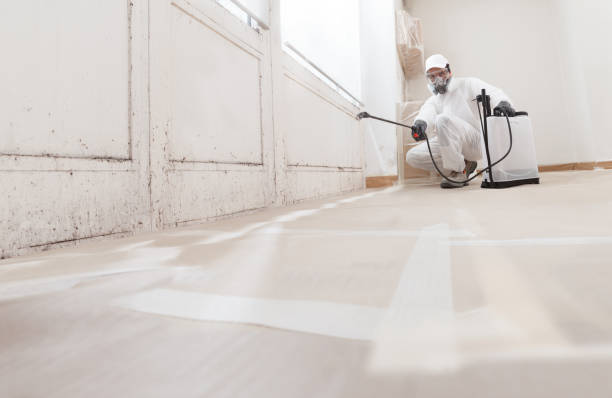 24/7 Emergency Bathroom Mold Removal experts in Harleysville, PA