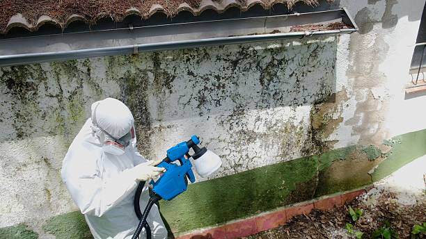 Top rated local Bathroom Mold Removal specialists in Harleysville, PA